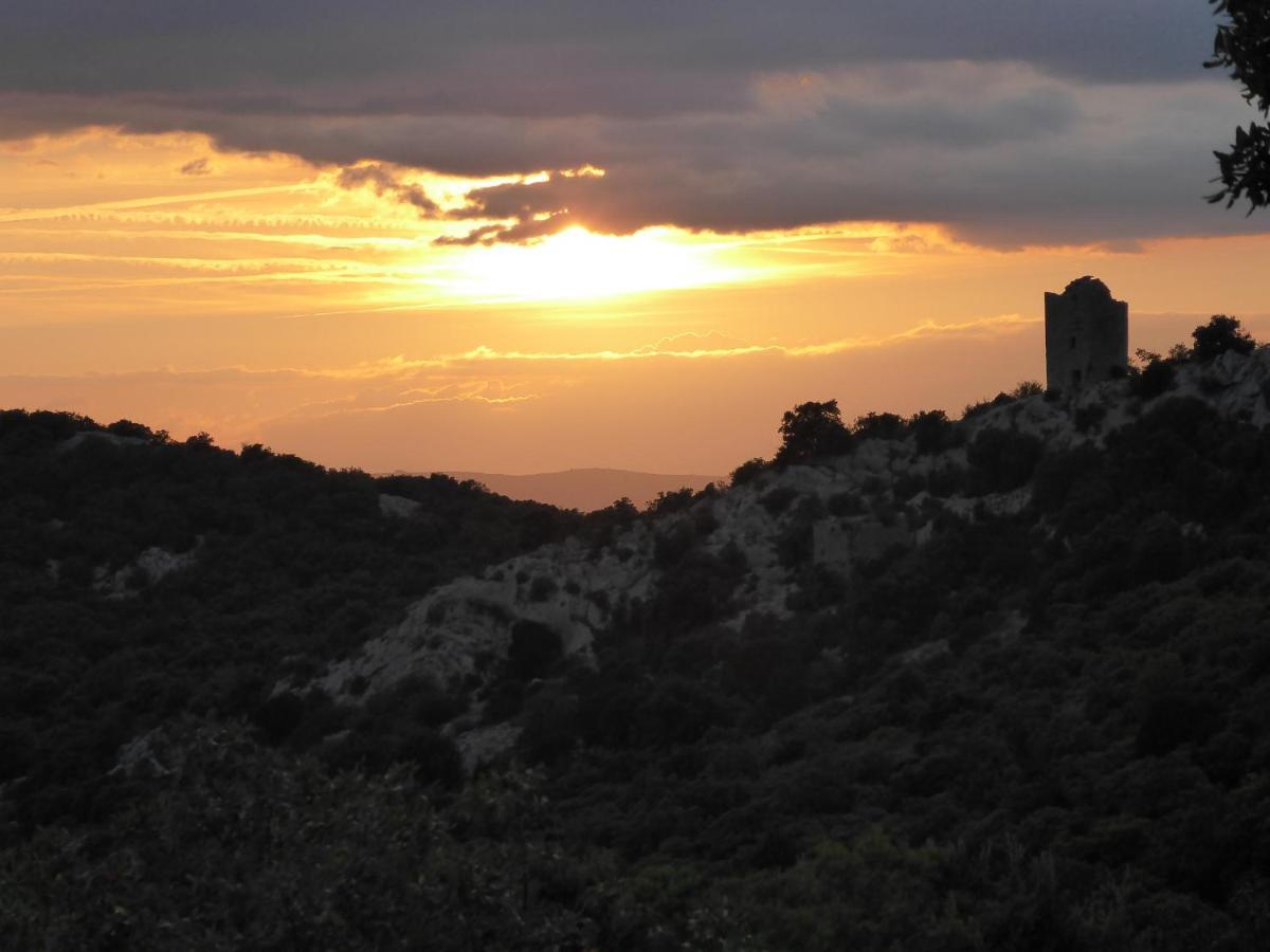 Le Castellas Du Pic St Loup Saint-Mathieu-de-Treviers ภายนอก รูปภาพ