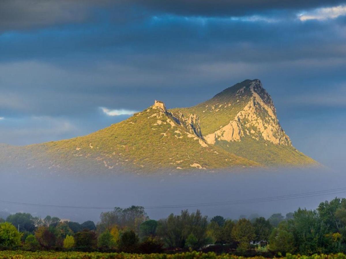 Le Castellas Du Pic St Loup Saint-Mathieu-de-Treviers ภายนอก รูปภาพ
