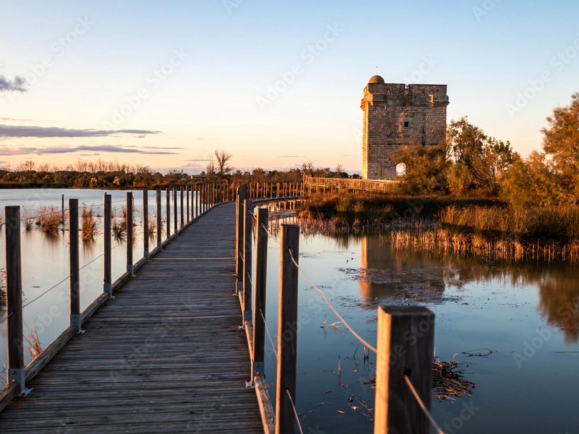 Le Castellas Du Pic St Loup Saint-Mathieu-de-Treviers ภายนอก รูปภาพ